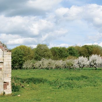 Circuits patrimoine en ville