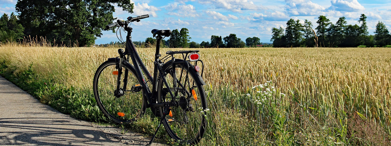 Les circuits cyclotouristiques et la Seine à Vélo
Les circuits vélo sont un bon moyen pour découvrir nos campagnes et ses vallées verdoyantes. Ainsi, 6 1