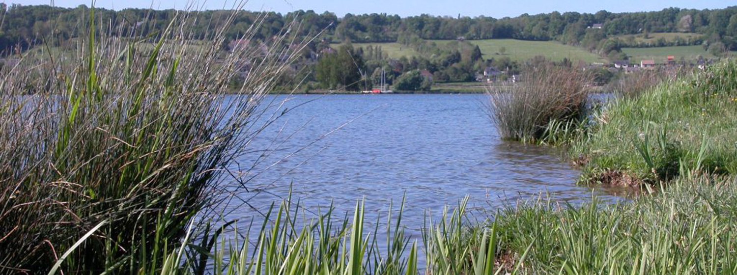 Le site des étangs
À cheval sur les communes de Toutainville, Saint-Germain-Village et Pont-Audemer, le site des étangs est un espace naturel 1