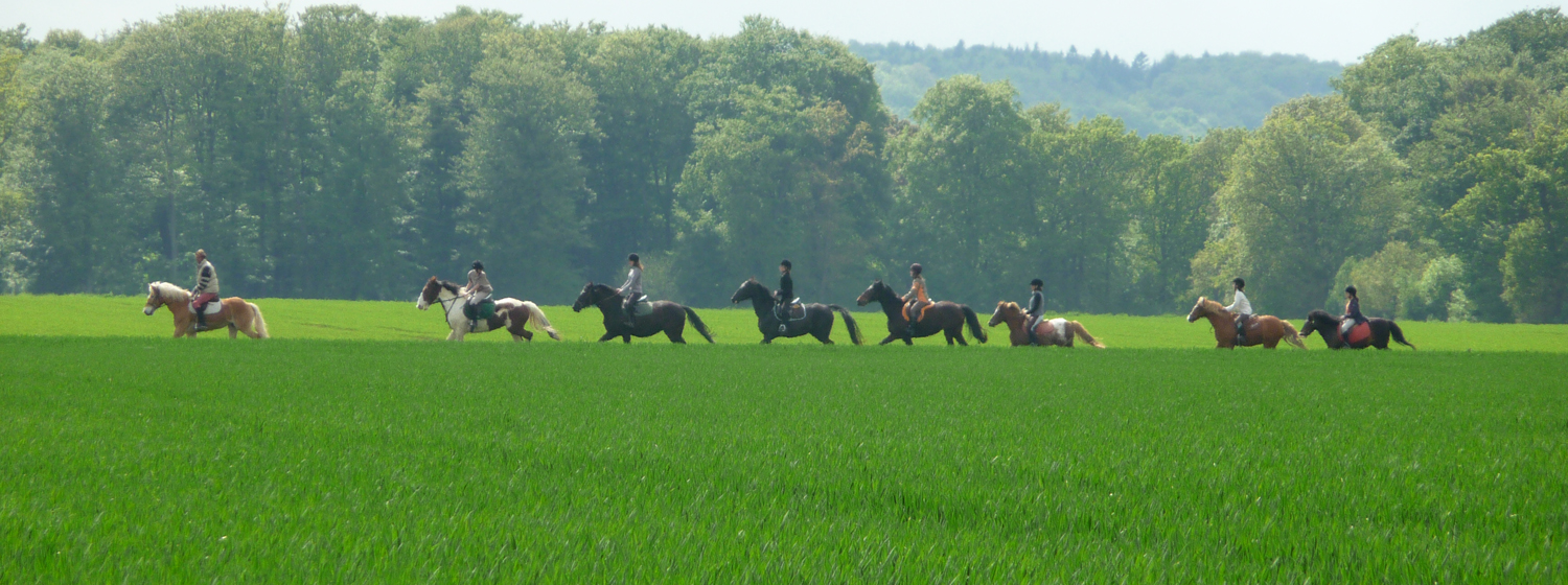 Centres équestres et balades

Pont-Audemer et le Val de Risle se dévoilent à cheval ! La vallée de la Risle, à l’image de toute la Normandie, est 1