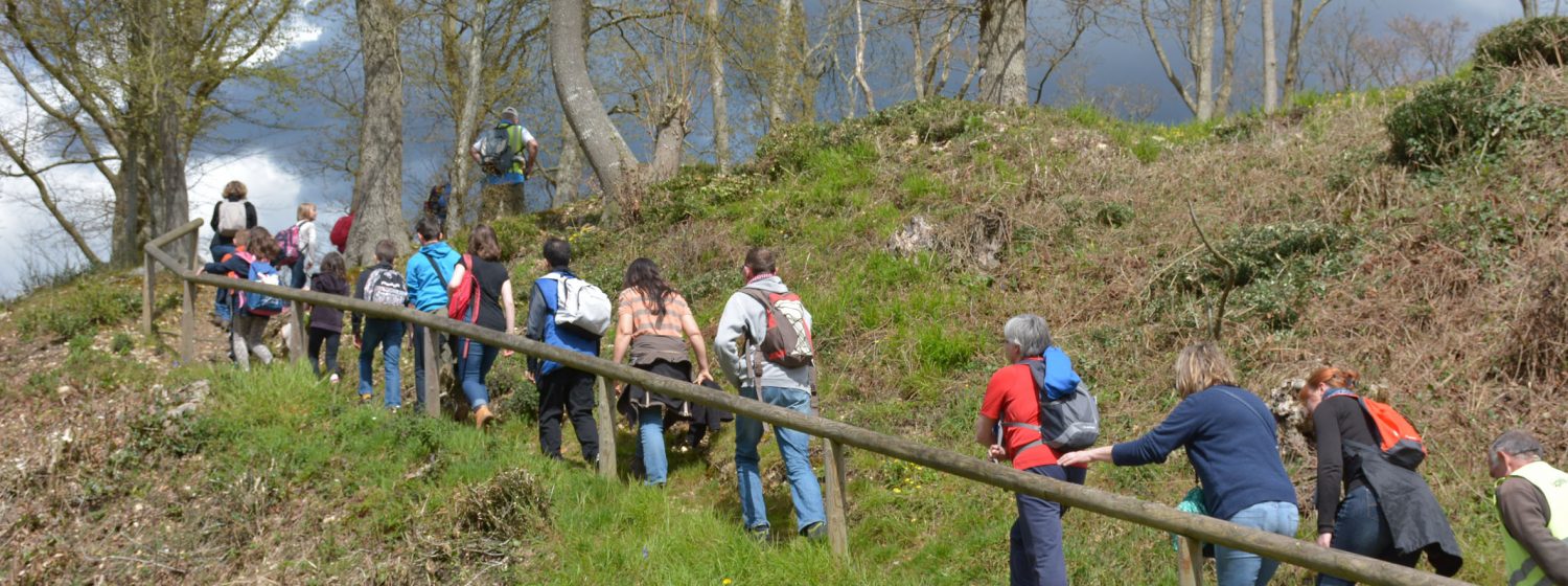 Les randonnées pédestres
Paradis des randonneurs, à pied, à cheval ou en VTT, la vallée de la Risle, véritable mosaïque de parfums et de couleurs, 1