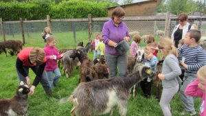 ferme pedagogique