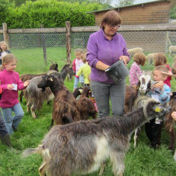 ferme pedagogique