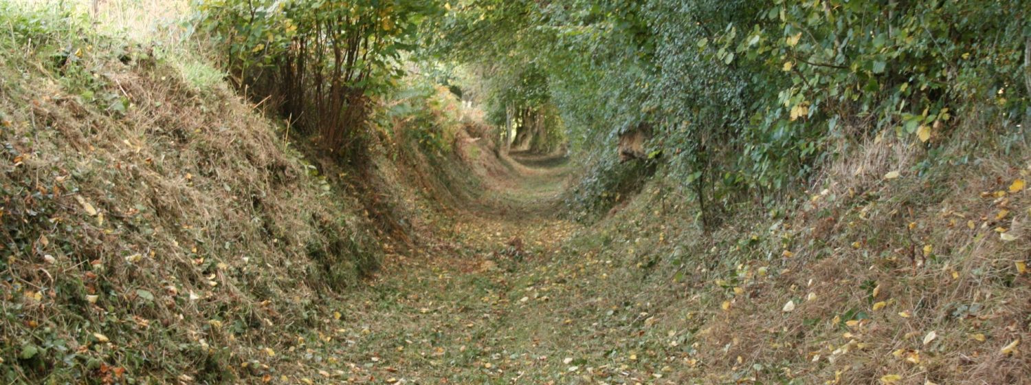 La base VTT Gravel de l'A.C.P.A :
 

L'association cyclotourisme de Pont-Audemer a créée la toute première base VTT Gravel du département de 1