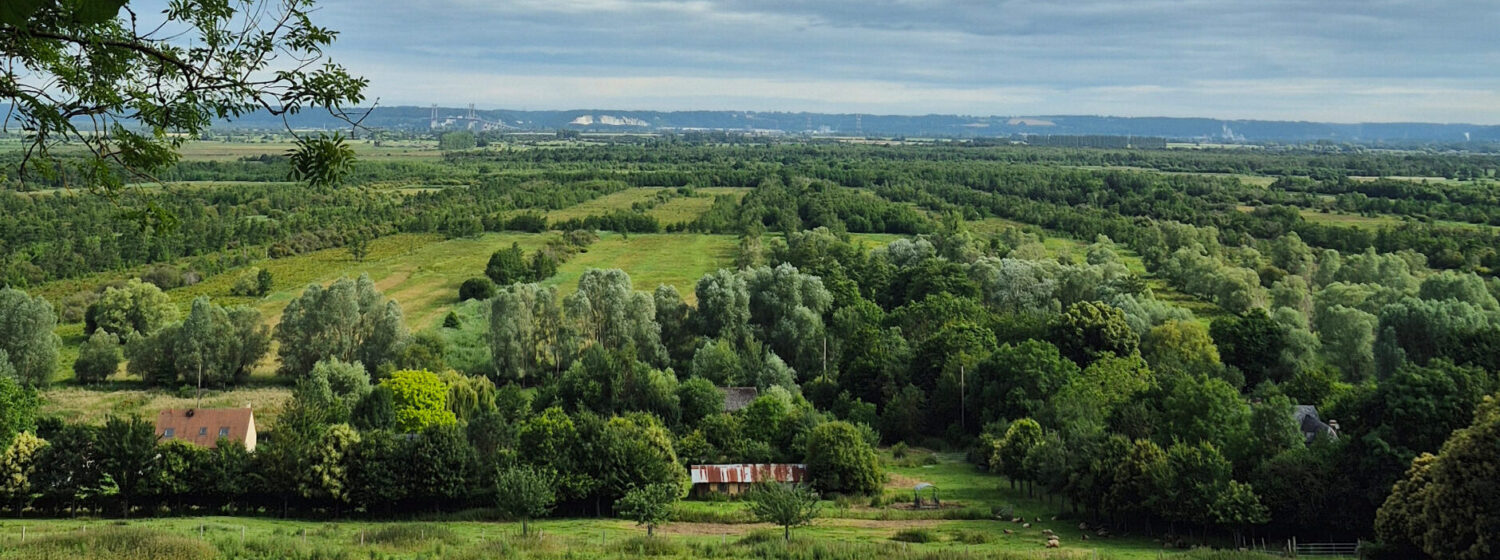 Bouquelon 
